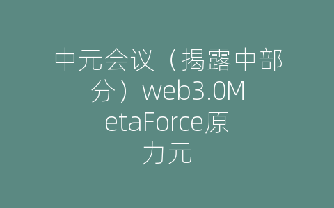 中元会议（揭露中部分）web3.0MetaForce原力元