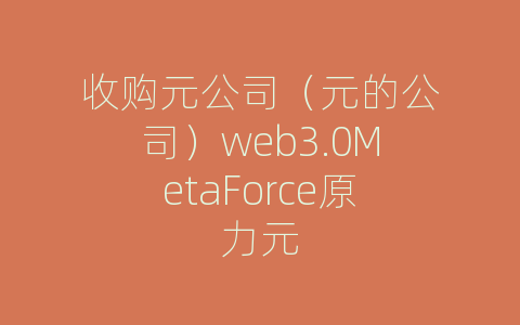 收购元公司（元的公司）web3.0MetaForce原力元