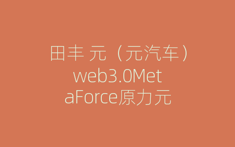 田丰 元（元汽车）web3.0MetaForce原力元