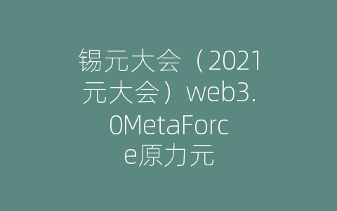 锡元大会（2021元大会）web3.0MetaForce原力元